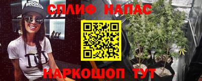 Альфа ПВП Тверь