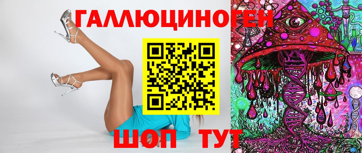 закладка  Вход с VPN  Псилоцибиновые грибы Psilocybe  Новочеркасск  Галлюциногенные грибы GOLDEN TEACHER 