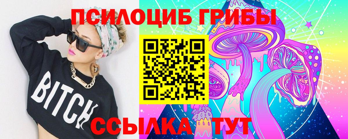 Псилоцибиновые грибы мицелий Новочеркасск